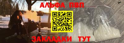 индика Камышлов