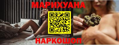 индика Камышлов