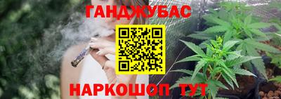индика Камышлов