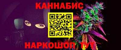индика Камышлов
