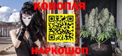 сатива Абакан