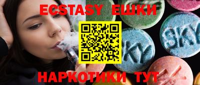 индика Камышлов