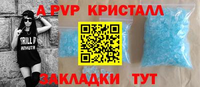 индика Камышлов