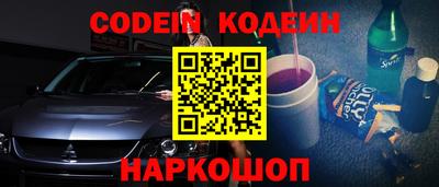 индика Камышлов