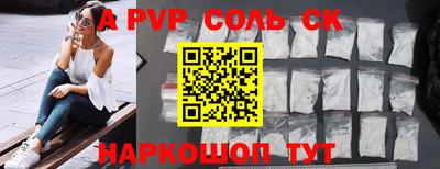 индика Камышлов
