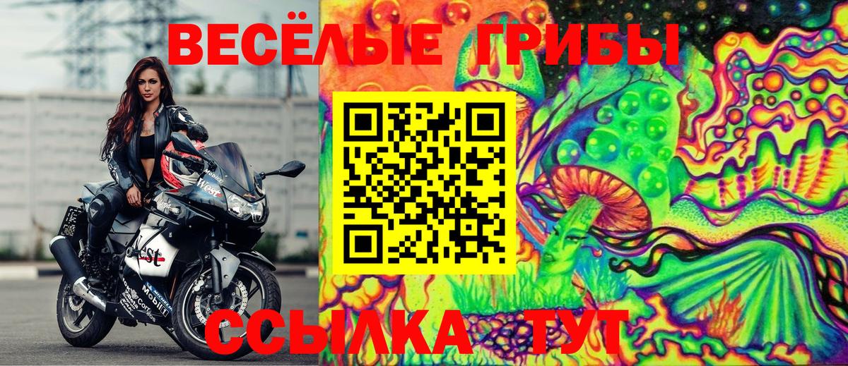 Галлюциногенные грибы Cubensis Переславль-Залесский