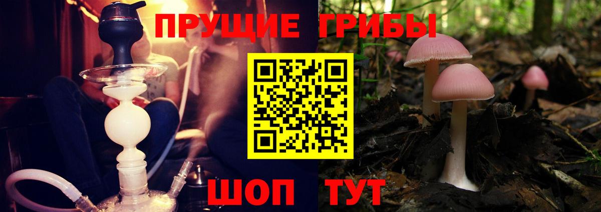 Галлюциногенные грибы прущие грибы  Вход с VPN  Переславль-Залесский 
